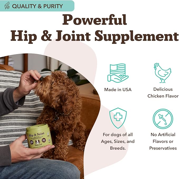 Natural Dog Company Hip & Joint Supplement for Dogs – Supports Mobility, Flexibility & Comfort, Glucosamine, Chondroitin, MSM & Turmeric, Chicken Flavor, 90 Count