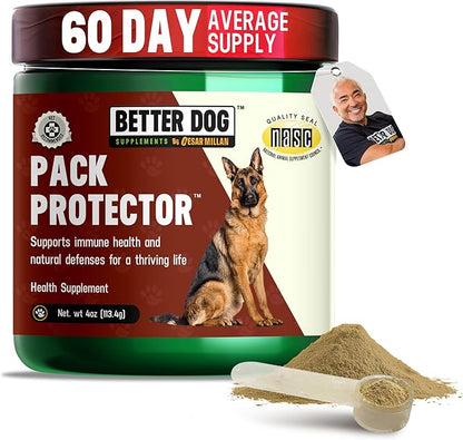 Cesar Millan Better Dog Immune Support Supplement Powder - Pack Protector Immune Support for Dogs, Energy & Internal Balance Dog Supplements w/Proprietary Herbal Blend - 4 oz 60-Day Average Supply