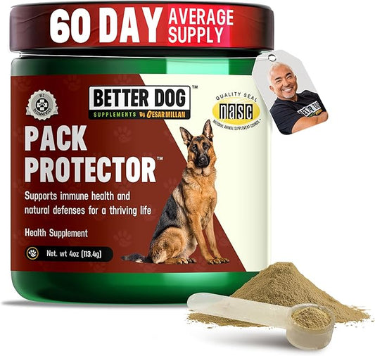 Cesar Millan Better Dog Immune Support Supplement Powder - Pack Protector Immune Support for Dogs, Energy & Internal Balance Dog Supplements w/Proprietary Herbal Blend - 4 oz 60-Day Average Supply