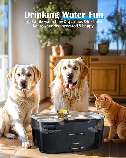 lesotc Dog Water Fountain Stainless Steel, 2.6 Gallon/10L Pet Water Fountain Cat Water Fountain Dog Water Bowl Dispenser for Large Dogs & Multi Pets, Ultra-Quiet, Smart Pump, Easy to Clean