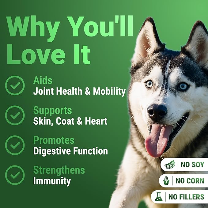 WuffWell Super Greens Powder for Dogs – Spirulina, Chlorella, Moringa, Glucosamine & Turmeric – Joint, Immune & Skin Support – Beef Flavor – Natural Dog Supplements – Vet Approved – Made in USA