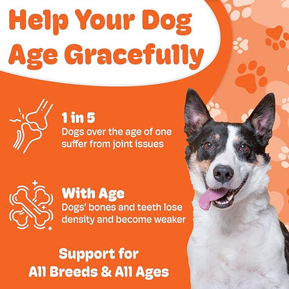 Boneo Canine Maintenance Formula- Lactoferrin-Based Bone and Joint Supplement for Dogs- 90 Ct Chewable Tablets, Liver and Sausage Flavor