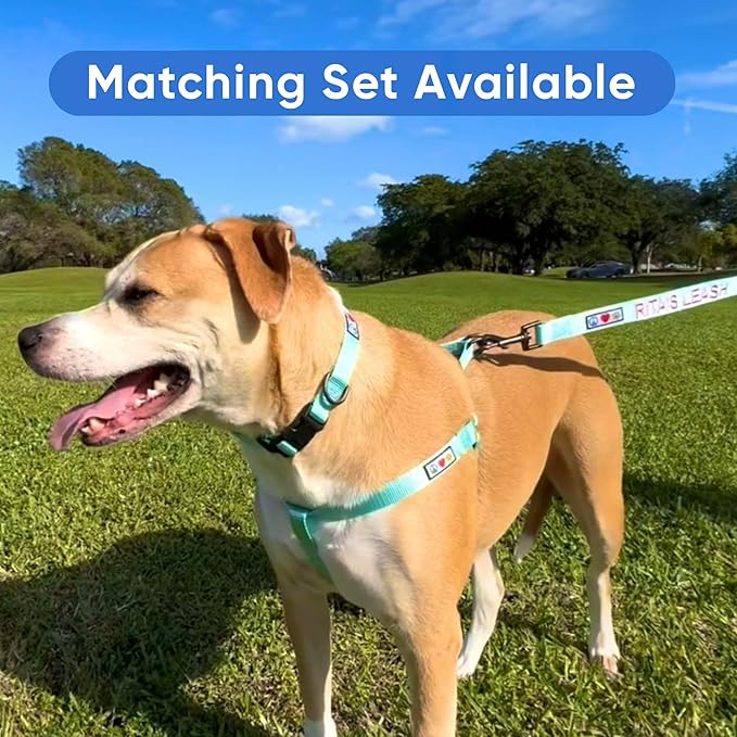 Pawtitas Personalized Dog Collar Extra Small Dog Collar Embroider with Name Phone Number Puppy Collar Adjustable Customized Collar for Extra Small Dogs Breeds Puppy Green Dog Collar