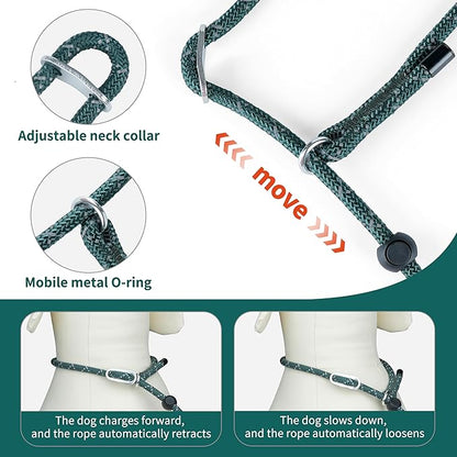 Dog Slip Lead Dog Leash, Heavy Duty No-Pull Training Leash w/Poop Bag Holder, Anti-Tangle, Multi-Handles & Reflective Thread for Medium, Large Dogs 5.5FT Black