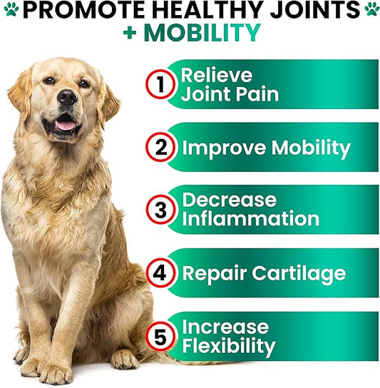 Hemp Hip and Joint Supplement for Dogs - Glucosamine for Dogs - 170 Joint Pain Relief Treats - Chondroitin, MSM, Hemp Oil - Advanced Health Supplement - Mobility Support Chews - Made in USA
