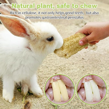 BNOSDM Bunny Chew Toys Natural Loofah 4PCS Bunny Teeth Grinding Toy Rabbit Fiber-Rich Treats Pet Entertainment Accessories for Rabbits Chinchillas Guinea Pig（XL）