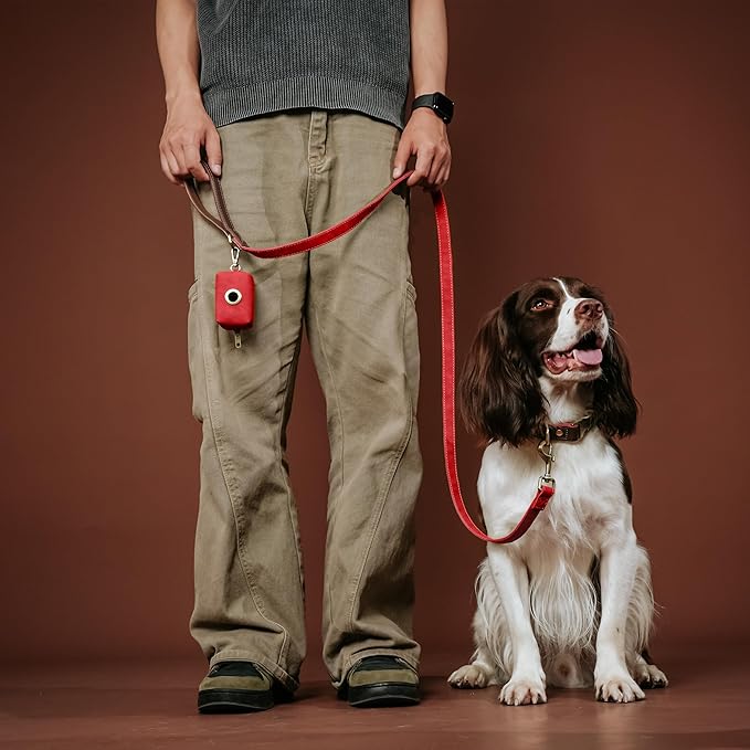 Didog Soft PU Leather Dog Collars for Small Dogs,Classic Adjustable Dog Collars with Quick Release Metal Buckle,Easy Clean and Comfortable with Nylon Lining,Red,S Neck 10-15"