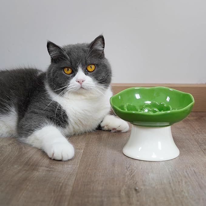 Ceramic Slow Feeder Bowl for Cats and Small Dogs, Elevated Tilted Pet Food Dish, Whisker Friendly Anti-Vomit Design, Heavy Stable Base, Dishwasher Safe， 5 Colors Options (Leaf Green)