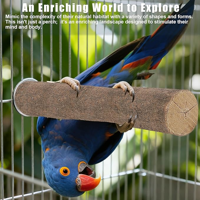 6 PCS Bird Perch Set, Natural Birch Wood Straight & Forked Perches with Platforms for Parakeets, Cockatiels, Conures, Lovebirds - Cage Accessories for Climbing & Exercise