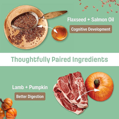 I14 Puppy Dry Dog Food – Lamb & Brown Rice Kibble for Skin, Coat, and Stomach | Salmon Oil for Cognitive Development | Pumpkin for Digestion | Natural, Limited Ingredient Formula (4.4 Pounds)