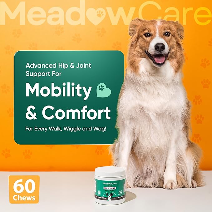 Hip and Joint Supplement for Dogs | MSM, Chondroitin & Glucosamine for Dogs | Supports Bone, Cartilage & Connective Tissue Health | Dog Joint Supplement | 60 Soft Chews180 g (6.35 oz) | MeadowCare