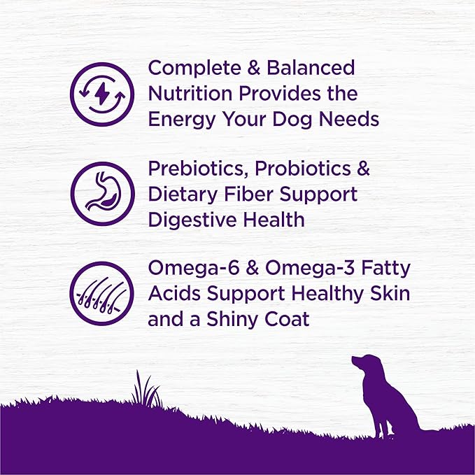 Wellness Complete Health Dry Dog Food with Grains, Made in USA with Real Meat & Natural Ingredients, All Breeds, Adult Dogs (Lamb & Barley, 30-lb) – With Nutrients for Immune, Skin, & Coat Support,