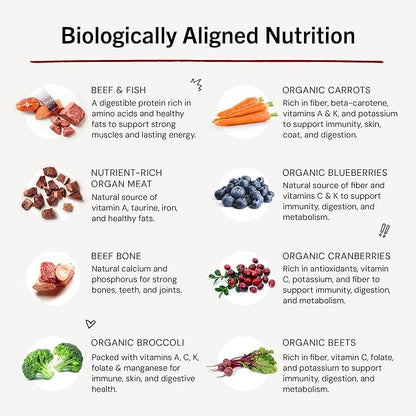 Stella & Chewy's Freeze-Dried Raw Dinner Patties - Surf 'N Turf Salmon & Beef Recipe - High Protein Grain-Free Puppy & Dog Food - Perfect For Picky Eaters - 5.5 oz