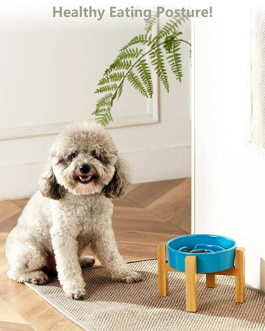 Ceramic Slow Feeder Dog Bowls Elevated, 0.6 Cup Slow Feeder for Small Dogs and Cats, Puzzle Maze Bowl, Prevents Choking, 6in, Blue