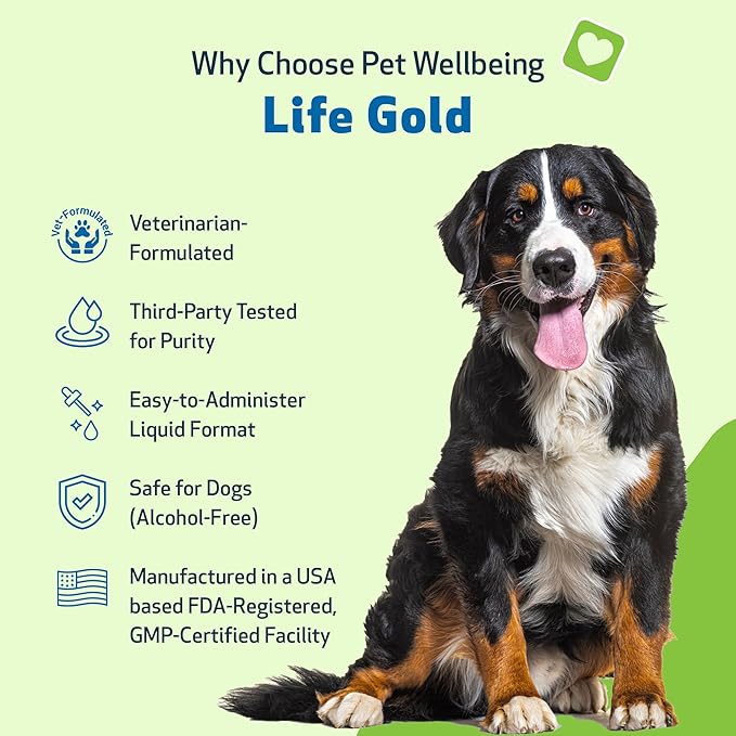 Pet Wellbeing Life Gold for Dogs - Supports Detoxification, Immune System Health, Antioxidants - Vet-Formulated Herbal Supplement – 4 oz (118 ml)