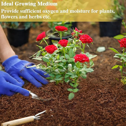 ZeeDix 6 Pack Coconut Fiber Substrate, 100% Organic Coconut Husk Coco Coir Brick Terrarium Bedding for Reptiles, Tortoise, Bearded Dragon, Leopard Gecko, Snake, Hermit Crabs, Frogs, Tarantula