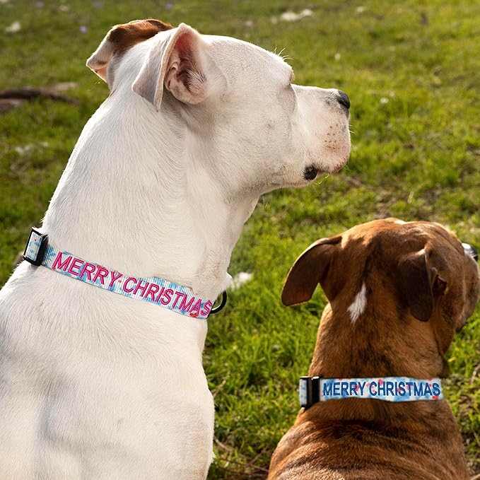 Pawtitas Personalized Dog Collar Dog Soft Adjustable Puppy Collar Customizable Embroidered add Pet Name Phone Number or Phrase Large Teal Mistletoe