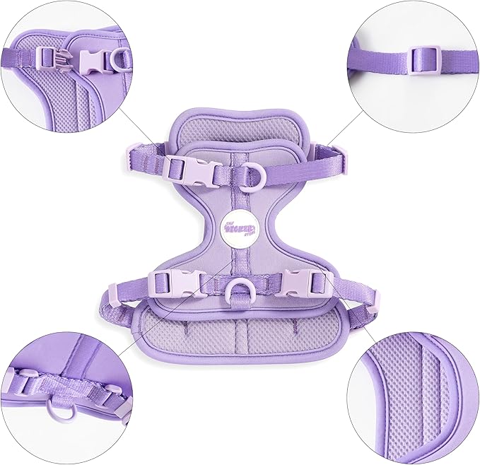 HNS1001H Arlo Small Adjustable Soft Padded No Pull Pet Harness with 3 Buckles and 3 Leash Clips, Bramble