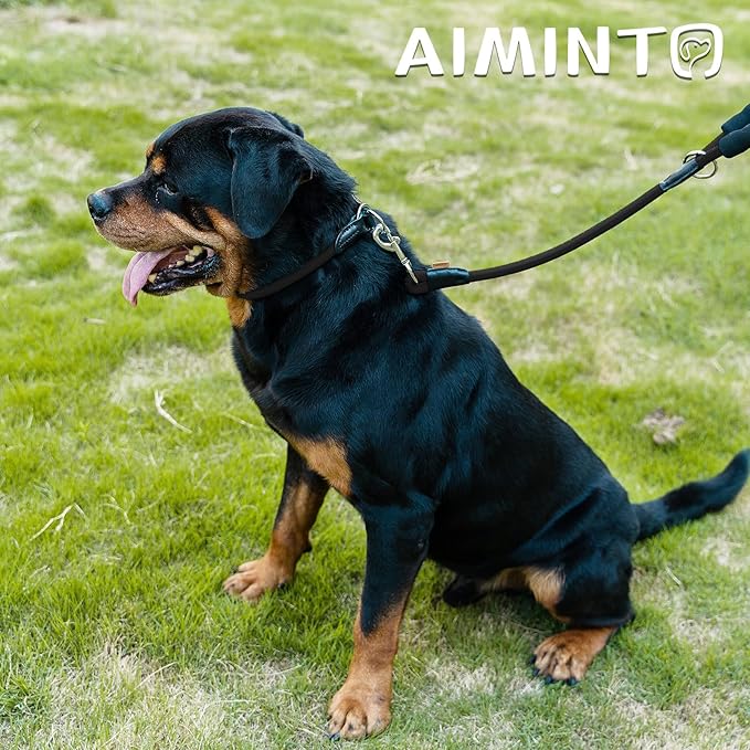 Dog Leash, Braided Rope Traction – Walking Training Lead for Small Dogs ((1/3") x 6FT, Black)