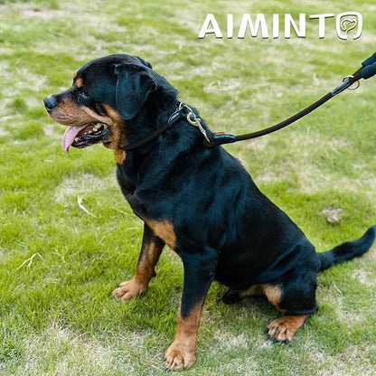 Dog Leash, Braided Rope Traction – Walking Training Lead for Small Dogs ((1/3") x 6FT, Black)