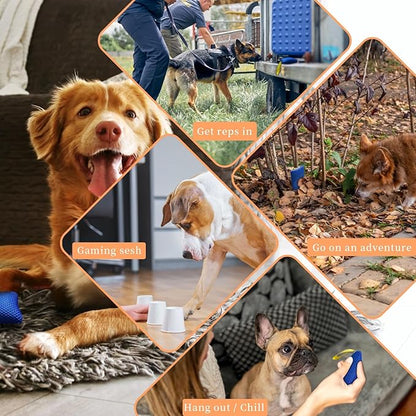 Dog Scent Training Kit with Squeaky Sound – Interactive Nose Work Toys for Dogs, Hide & Seek Scent Games | Mental Stimulation, Anxiety Relief & Obedience Training for All Ages (Blue)