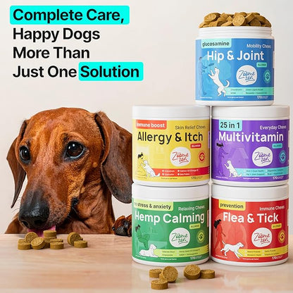 Hip and Joint Supplement for Dogs – Glucosamine for Dogs, Dog Joint Supplement, Mobility, Flexibility & Comfort, Chews with Glucosamine Chondroitin Msm & Omega3, 2 Pack,340 Chews,Made in USA