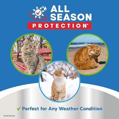 Lick Safe Cat Paw Balm - 1 Oz Paw Balm for Cats - Natural Paw Butter for Cats - Vet Recommended Cat Paw Protection - Paw Wax for Cats - Fix Dry Cracked Paws - Cat Paw Moisturizer Stick - Cat Stuff