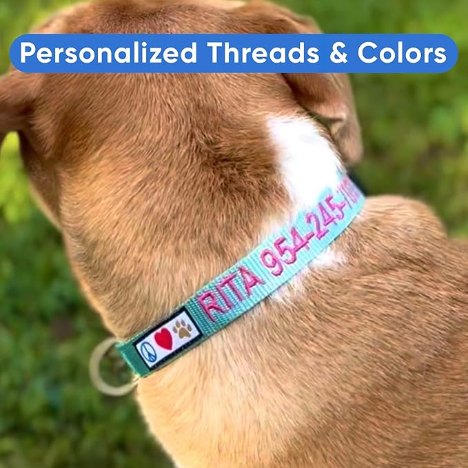 Pawtitas Personalized Dog Collar Extra Small Dog Collar Embroider with Name Phone Number Puppy Collar Adjustable Customized Collar for Extra Small Dogs Breeds Puppy Purple Dog Collar