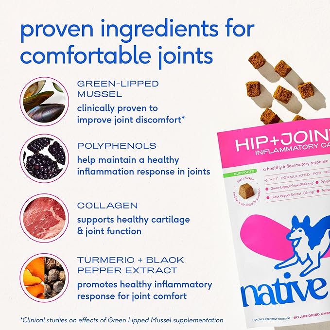 Native Pet Pain Relief for Dogs - Collagen for Dogs Promotes Joint Health, Reduce Inflammation & Stiffness - Senior Pup Joint Supplement - Natural Pain Reliever for Active & Aging Pets - 30 Chews