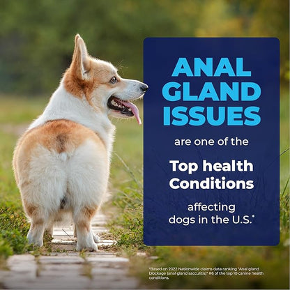 Vetnique Glandex Medicated Dog Butt Wipes or Spray for Dog Scooting - Topical Anti Itch Skin Relief for Soothing Inflamed Anal Glands in Dogs & Cats - Fast Acting Formula 50ct (50ct Wipes)