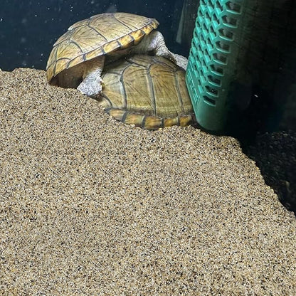 5 lbs Aquarium Sand, 0.6-1.2 mm Aquarium Substrate for Freshwater Fish Tank. Decorative River Rocks Gravel for Fish Tank, Plants Potted, Fire Pits, Candle, Vase and Crafts