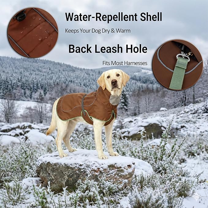 Softshell Dog Coat for Winter Walks and Hiking, Windproof and Water-Repellent Jacket with Harness Opening and Reflective Strips, Ideal Stocking Stuffer for Active Dogs (Brown, Medium)