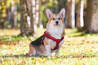 Kruz No Pull Dog Harness (Chest 26”-38”, Weight 44-88 lbs) Heavy-Duty Pet Harness for Large Breeds, Ultra-Comfort Fit, Lifetime Durability, Adjustable Dog Harness No Pull Design (Black, Large)