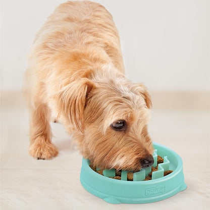 Outward Hound Small Fun Feeder Slow Bowl, Puzzle for Fast Eaters, Puppies, Cats & Small Dogs, Wet or Dry Food, Helps Prevent Bloat & Aid Digestion, 3/4 Cup Capacity, Non-Slip, Made Without BPA, Mint