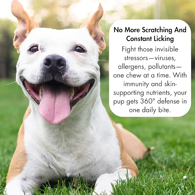 Champ's Armor Allergy & Immune Soft Chews for Dogs. Daily Support for Itchy Skin, Immune Health, Seasonal Allergies. W/Colostrum, Salmon Oil, Probiotics, Quercetin, Turmeric. 120 ct.