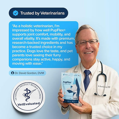 PupFlex+ Hip and Joint Supplement Dogs, Vet Created Soft Chews with UC-II® Collagen for Dogs, CurcuVET® & Omega 3, Proven More Effective Than Glucosamine Chondroitin, Dog Joint Supplement (60 ct)