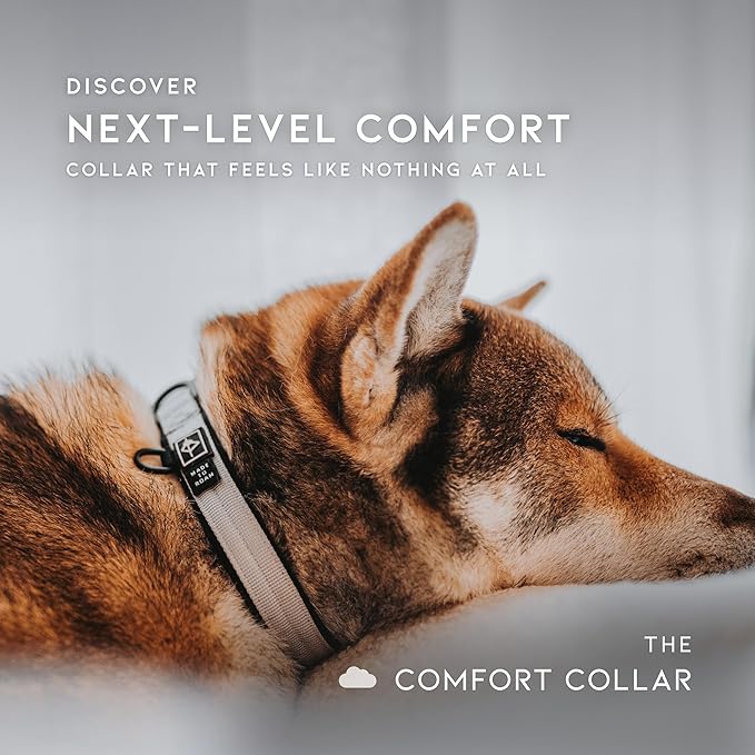 MADE TO ROAM Comfort Collar - Adjustable Nylon Dog Collar with Soft Comfortable Padding, Light Aviation Aluminum Metal Buckle for Small, Medium and Large Dogs (Maine Marina, Size 2)