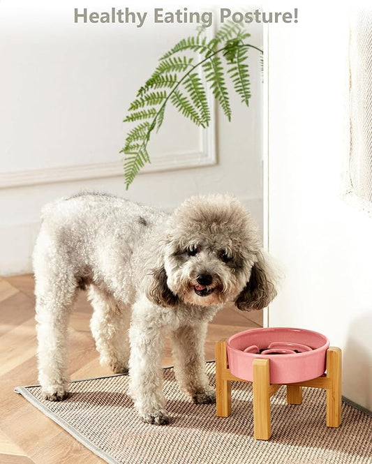 Ceramic Slow Feeder Dog Bowls Elevated, 0.6 Cup Slow Feeder for Small Dogs and Cats, Puzzle Maze Bowl, Prevents Choking, 6in, Pink