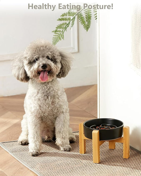 Ceramic Slow Feeder Dog Bowls Elevated, 0.6 Cup Slow Feeder for Small Dogs and Cats, Puzzle Maze Bowl, Prevents Choking, 6in, Black