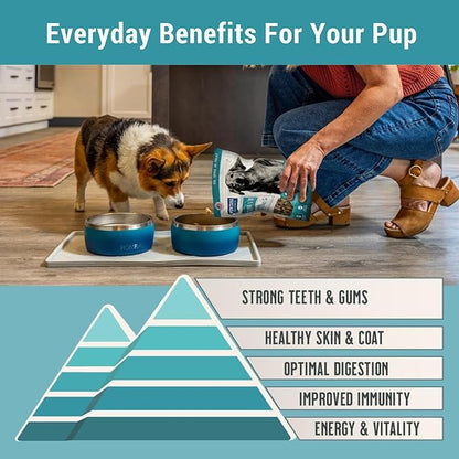 MONTANA DOG FOOD CO. Freeze-Dried Raw Surf & Turf Recipe Dog Food – Grain-Free, High-Protein Meal or Topper, Made in USA with USA Ingredients -16 oz Bag