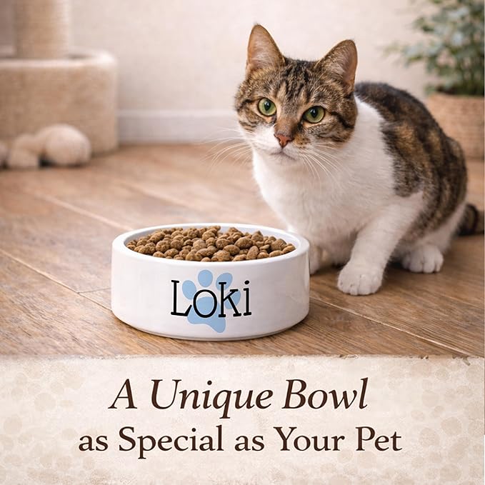Custom Cat Bowl | Personalized Food & Water Dish with Name | Microwave & Dishwasher Safe Ceramic Pet Feeding Bowl for Kitty | Gift for New Kitten Owners | White – Small