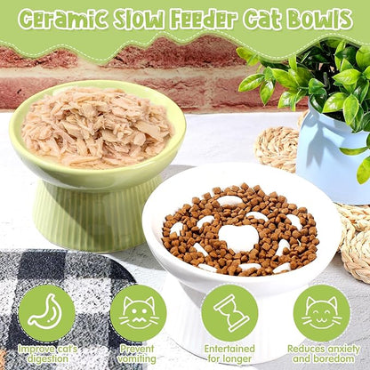Tioncy 2 Pcs Raised Cat Slow Feeder Bowl Ceramic Elevated Cat Dog Food Bowl No Spill High Edge for Dry Wet Food and Water Easy to Clean, Dishwasher Safe(White, Green)