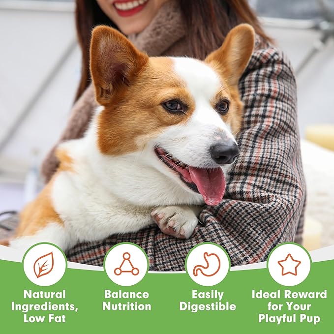 MON2SUN Dog Treats, Chicken Jerky Strips for Small Dogs, High Protein & Grain Free Snacks, Easy to Digest Training Treats (Chicken, 17.64 Ounce -Pack of 1)