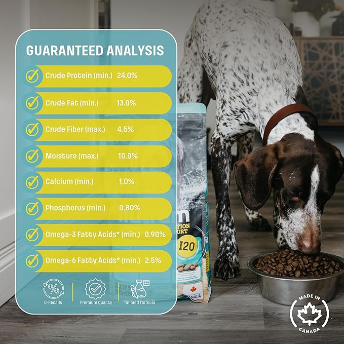 I20 Lamb & Brown Rice Dry Dog Food – Formulated for Skin, Coat, and Stomach | Kibble for Adults & Seniors | with Omega-3 Salmon Oil & Rosemary for Immunity and a Shiny Coat