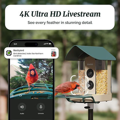 Beako™ Smart Bird Feeder with 4K Camera Solar Powered for Outdoors - UHD Live Stream for Birdwatching, AI Identification 10,000+ Bird Species, Real-Time Motion Detection, Forest Birch