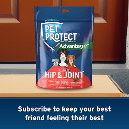 Pet Protect Dog Hip & Joint Supplement for Occasional Joint Stiffness, Vet-Formulated Synovi G3, Dog Glucosamine, Chicken-Flavored Soft Chews (60 Count)