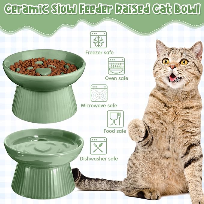 Tioncy 2 Pcs Raised Cat Slow Feeder Bowl Ceramic Elevated Cat Dog Food Bowl No Spill High Edge for Dry Wet Food and Water Easy to Clean, Dishwasher Safe(Sage Green)