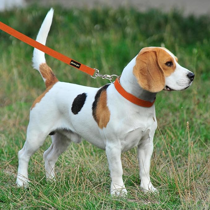 Plutus Pet Cotton Hemp Dog Collar and Leash Set, Adjustable Collar for Small, Medium, and Large Dogs, Heavy Duty and Soft on Skin, Orange, M