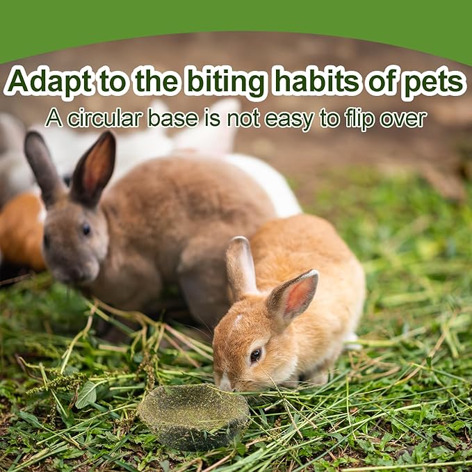 Jiaxix 5 Pack Furry Timothy Hay Chewing Bowl for Guinea Pig & Bunnies,Edible Guinea Pig Food,Guinea Pig Toys, Bunny Toys