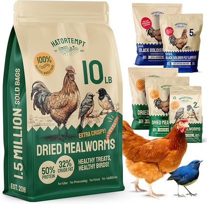 Hatortempt Bulk Dried Mealworms - 10 Lb Bag - Non-GMO Dried Mealworms for Chickens, Ducks & Wild Birds - High-Protein Chicken Feed & Bird Food